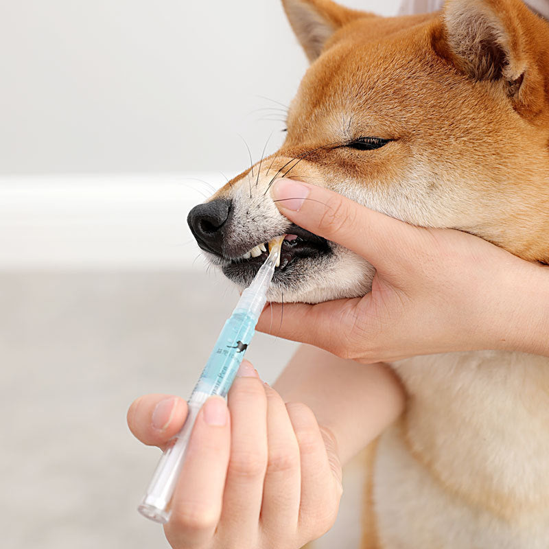 Revitalize Your Pet's Smile: Dog and Cat Teeth Cleaning Pen Kit - Restore and Maintain Dental Health!